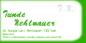 tunde mehlmauer business card